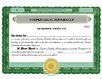 Limited Liability Partnership Certificate